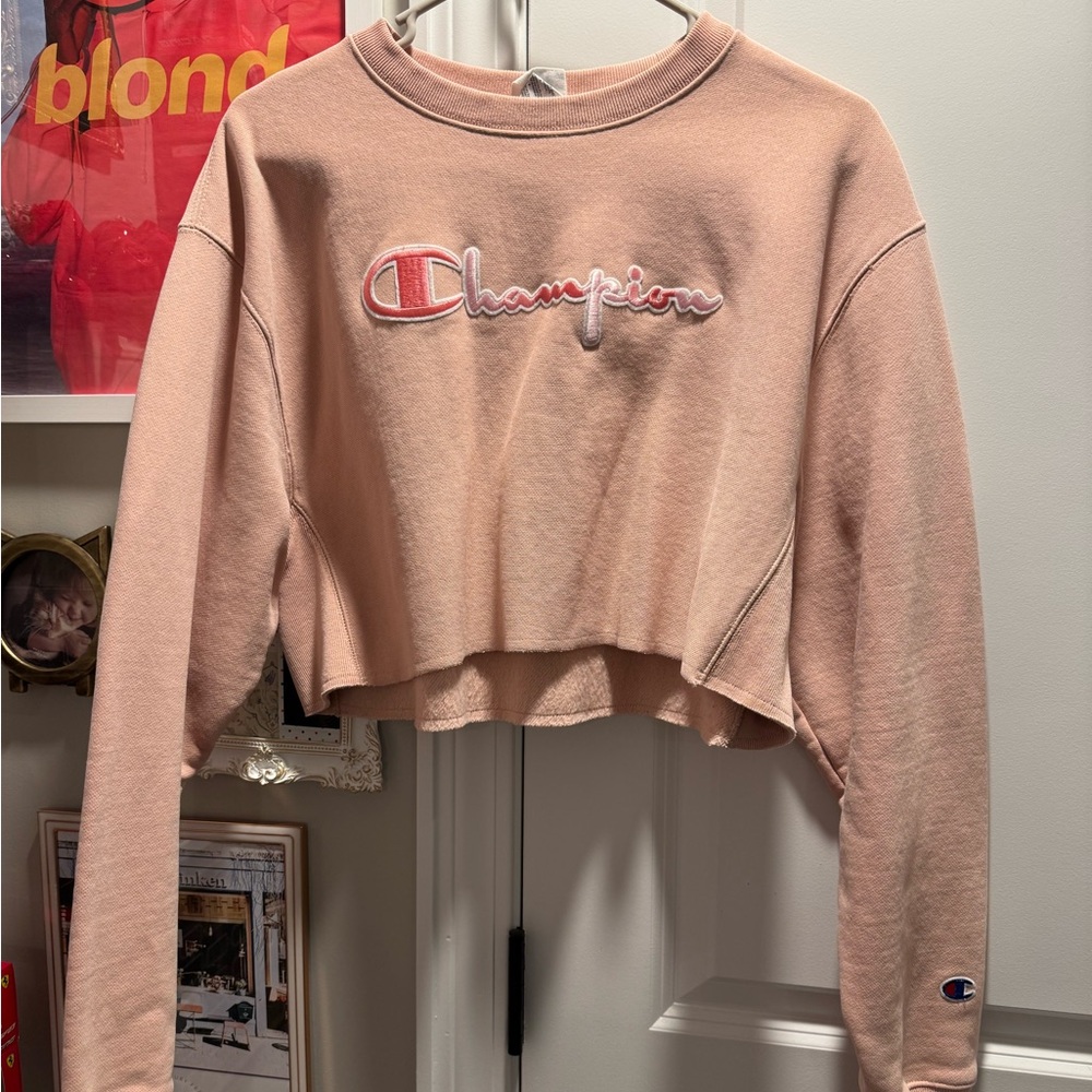 Champion cropped sweatshirts